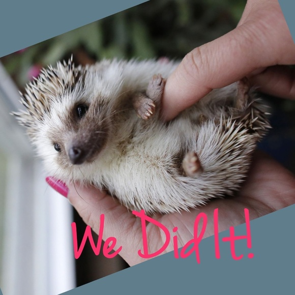 THANK YOU ALL SO MUCH!! - Picture 2 of 8